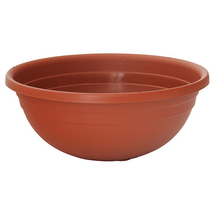 Kvetinac ICS CLIVIA 30x12 cm 255099