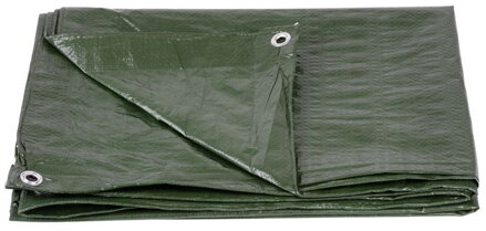 Plachta Tarpaulin Light 2x2 m, 65 g/m, zakrývacia, zelená, s okami  2172454  